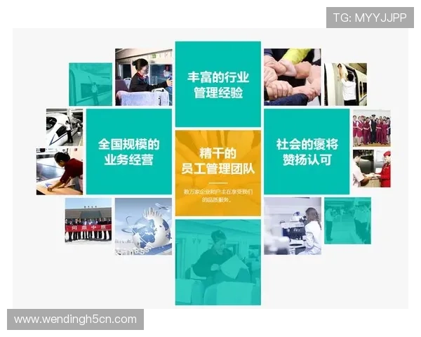 问鼎在线官网：客户案例分享与成功经验总结助力企业发展