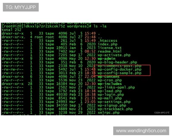 问鼎官网下载遇到问题怎么办，常见故障解决方案全攻略